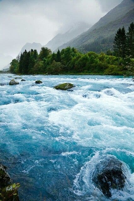 River flowing through a forest, symbolizing the river of life